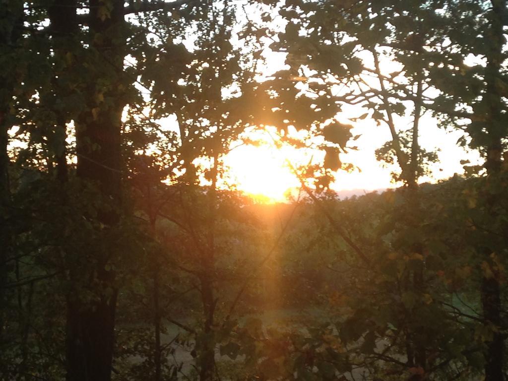 WeavervilleSerenity Views Bungalow - Close To City And Parkway!别墅 外观 照片